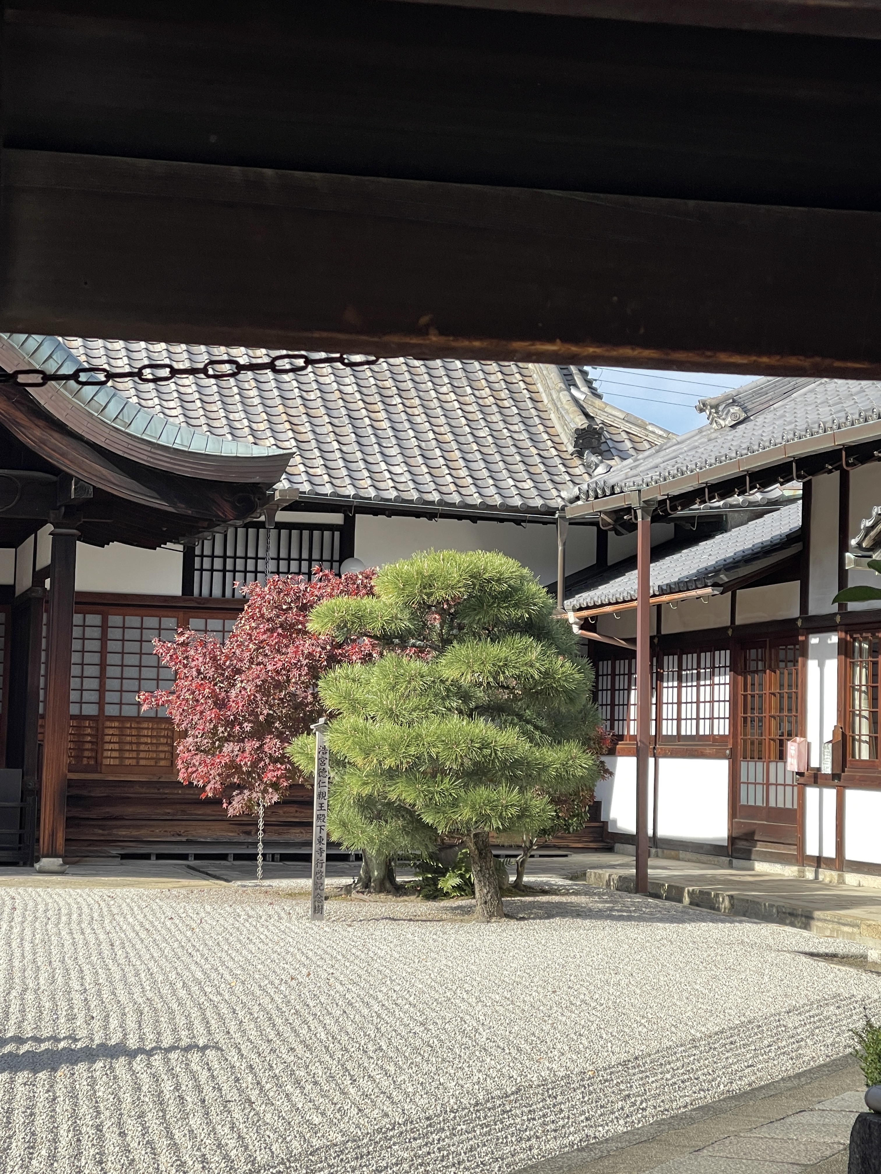détail d'un jardin sec du temple to ji à kyoto avec un pin et un érable japonais